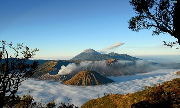 pilihan wisatawan domestik